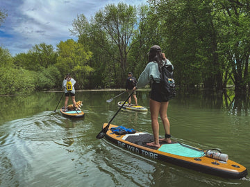 SUP avec chien - les recommandations de QuébecSUP - PaddleShed/QuebecSUP