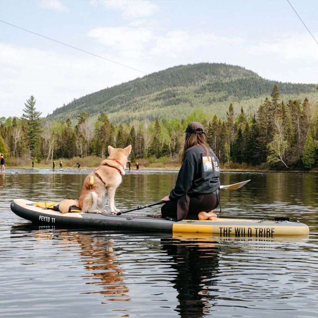 Peyto Golden 11 (2024): Paddleboard Gonflable 11 Pieds All-Around Haut de Gamme - Quebec SUP