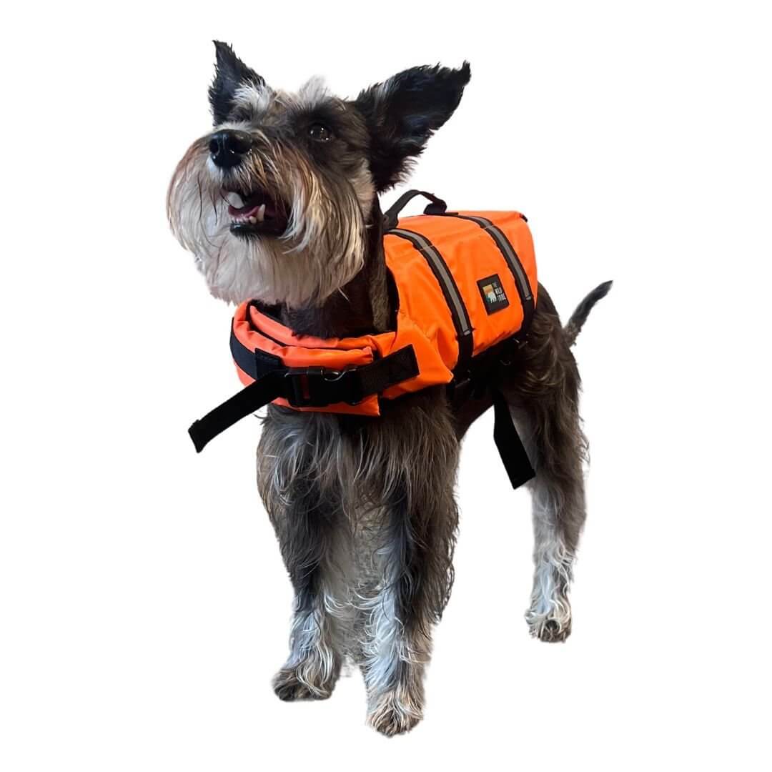 Veste Flottaison pour Chien - Quebec SUP