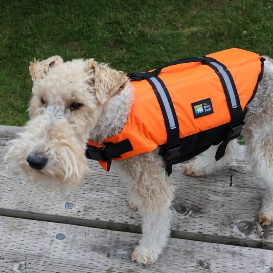 Veste Flottaison pour Chien - Quebec SUP