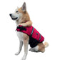 Veste Flottaison pour Chien - Quebec SUP